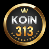 KOIN313