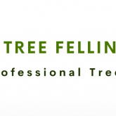 Tree Felling Pinetown