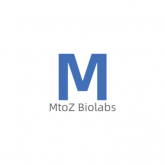 MtoZ Bolabs
