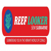 Reef Looker Semi Submarine