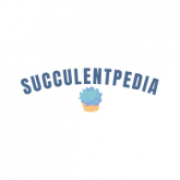 Succulentpedia