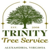 Allentown Tree Service LLC