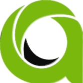 Asia Virtual Solutions