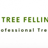 Tree Felling Pretoria