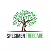 Specimen Treecare